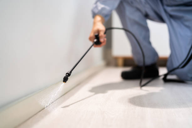 Licensed Termite Control service in York County County, PA - Nex Pest Control