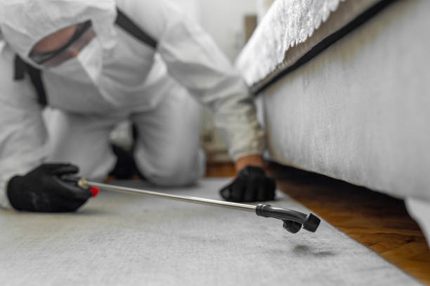 Professional Termite Control technician working in York County County, PA